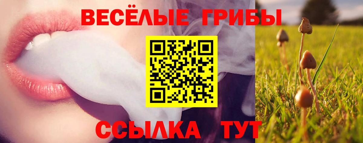 Галлюциногенные грибы Psilocybe Шатура